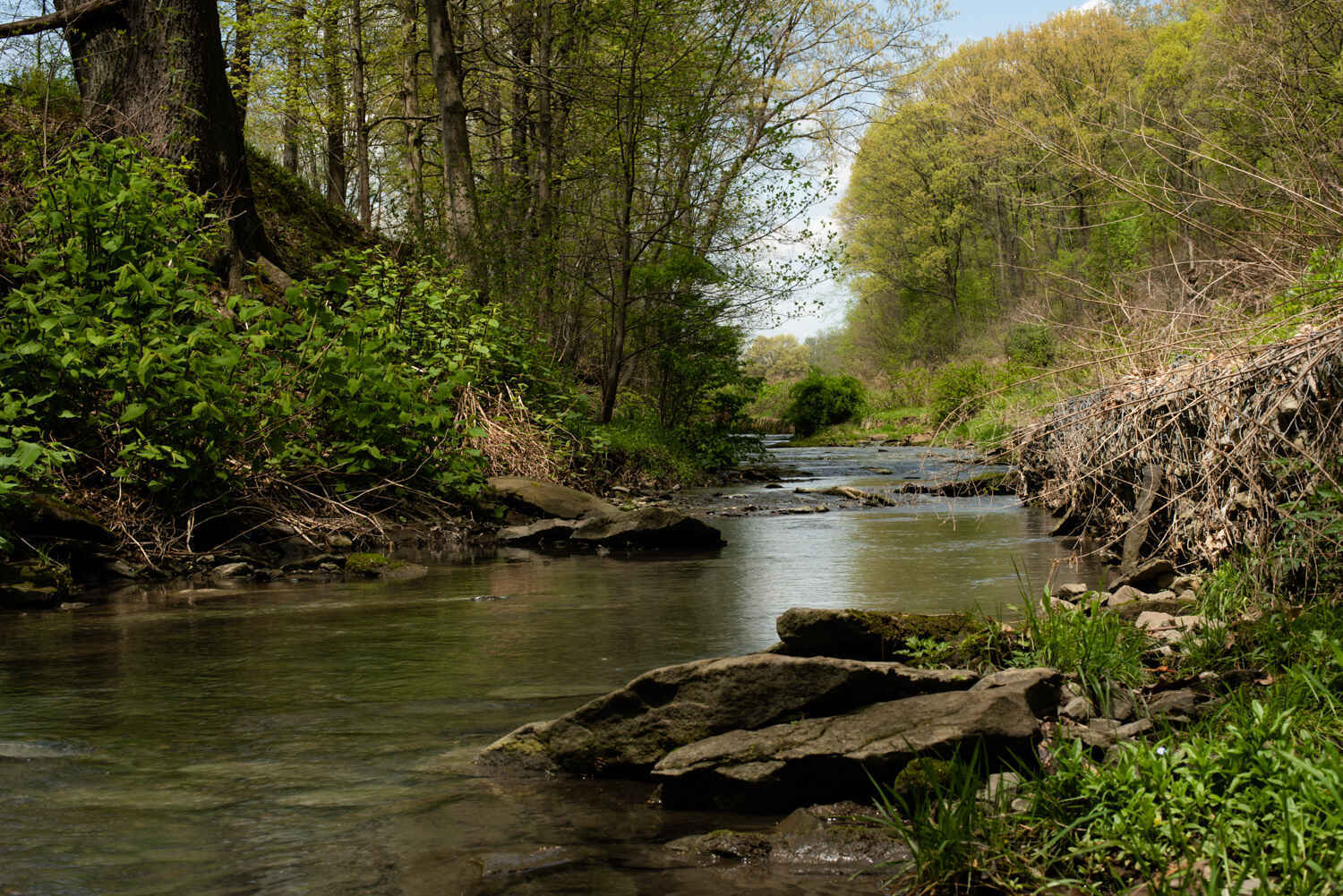 Water Testing Walk at Churchill Valley Greenway image