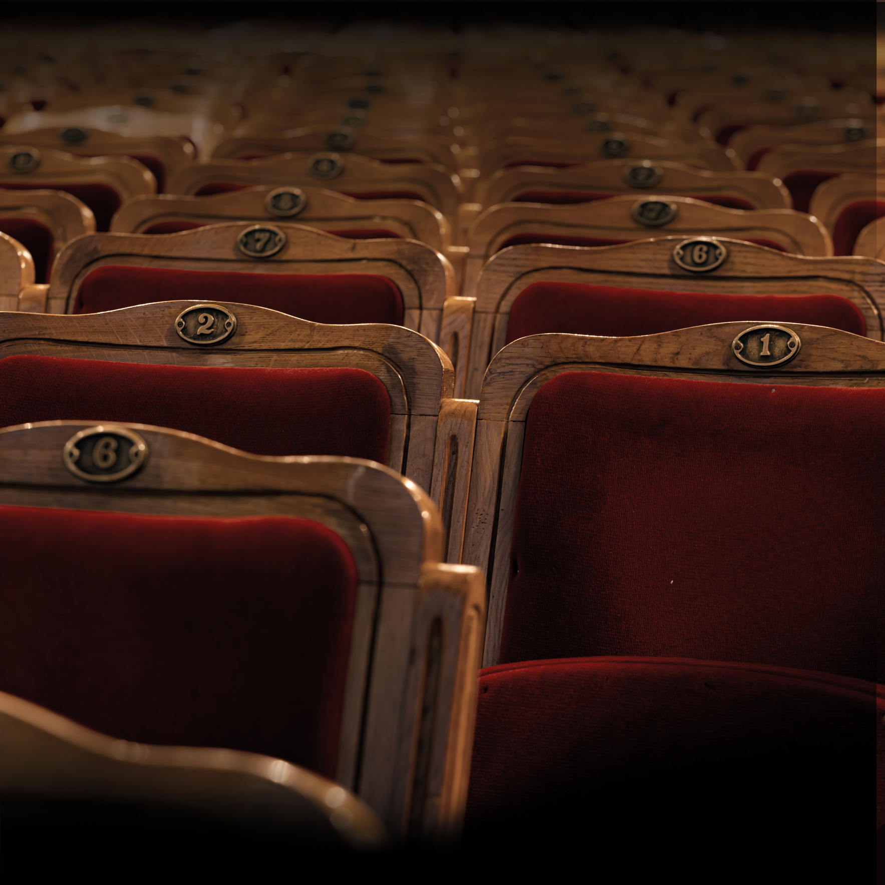 Pops and More, A Seat for Everyone image