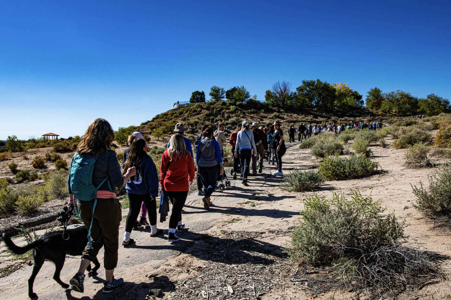 11th Hike to End Hunger  image