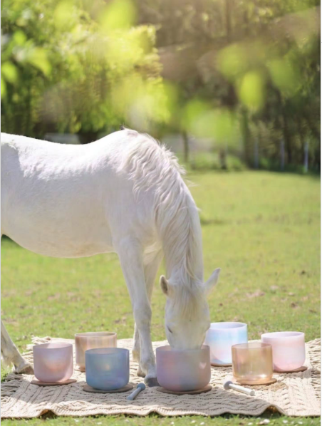 Saturday, 8/22/26 - Surround Yourself with TCTC's Loving Therapy Horses in an Ethereal, Soothing Sound Bath image