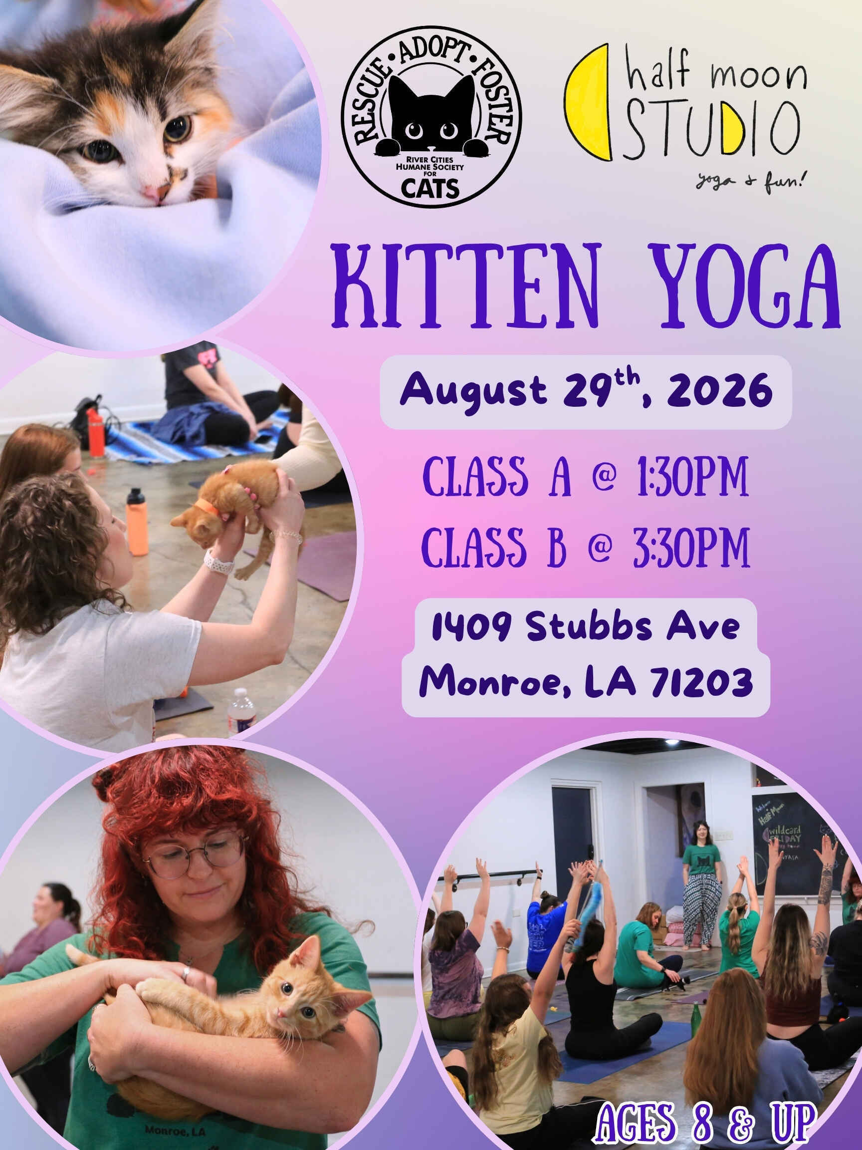 Kitten Yoga at Half Moon Studio image