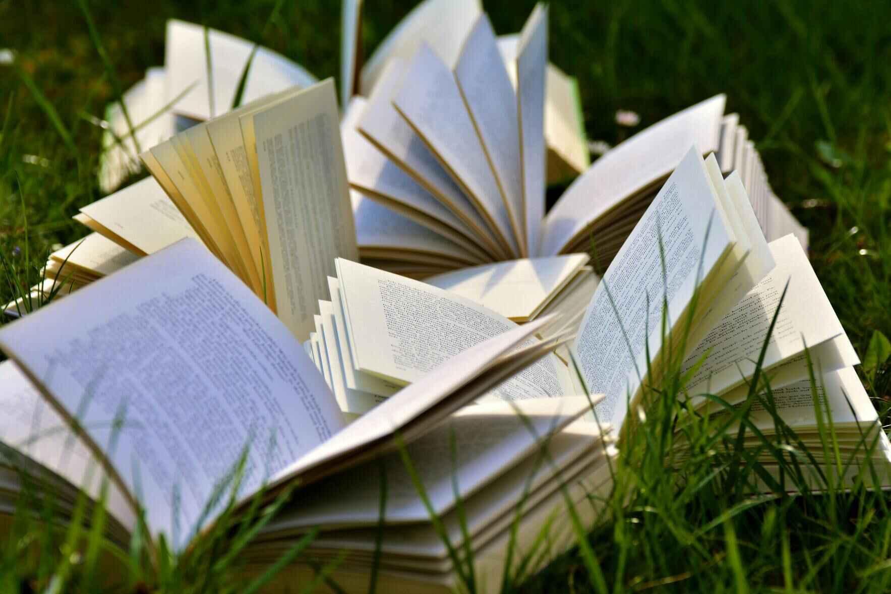 Nibbles, Novelists and New Beginnings - October 15, 2026 image