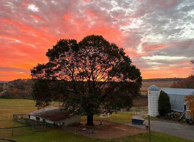 2026 Shepherd's Harvest Dinner & Auction image