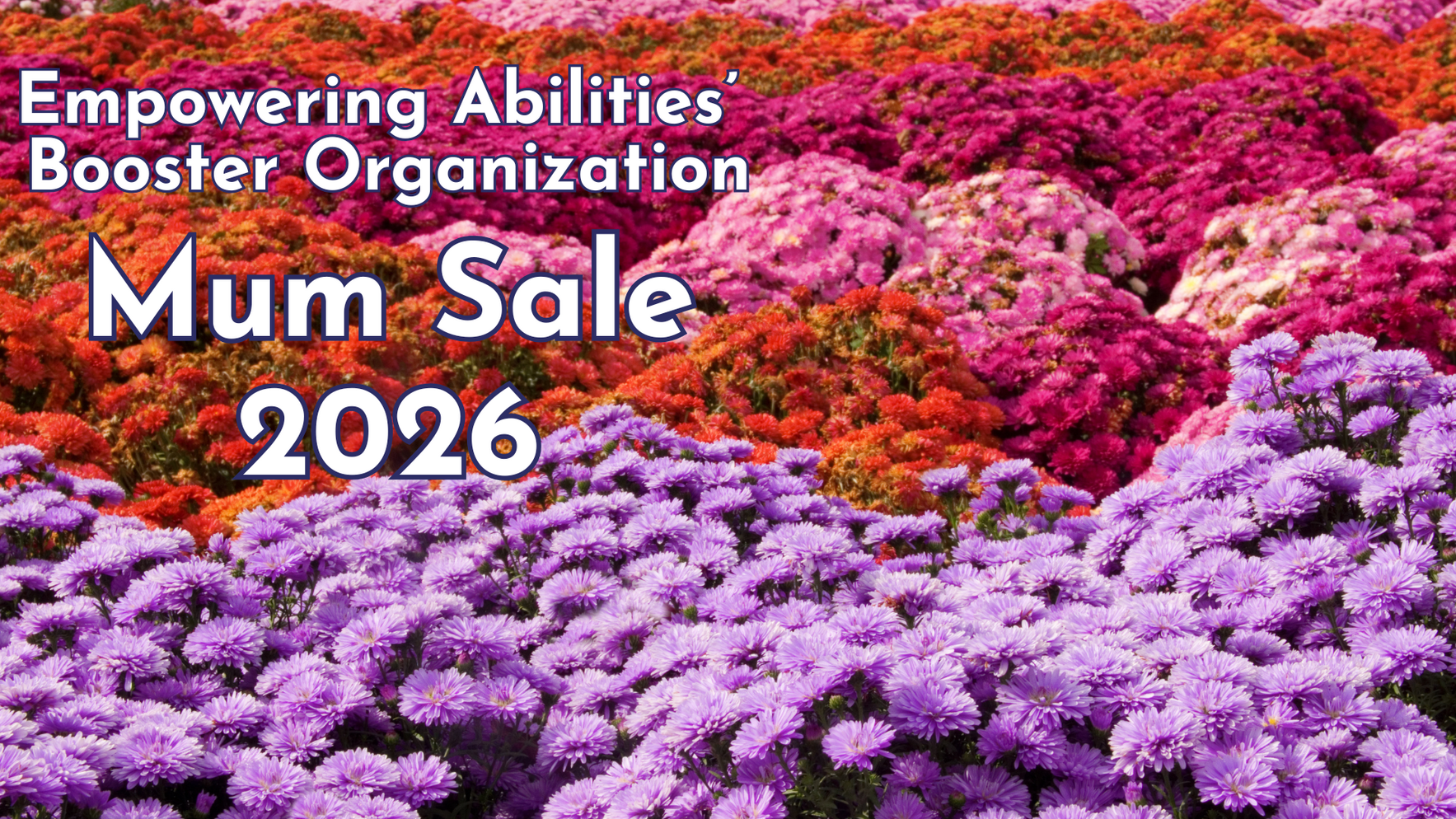 Booster Mum Sale 2026 image