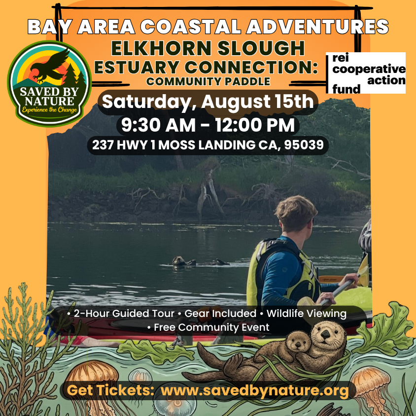 Elkhorn Slough Estuary Connection: Community Paddle image