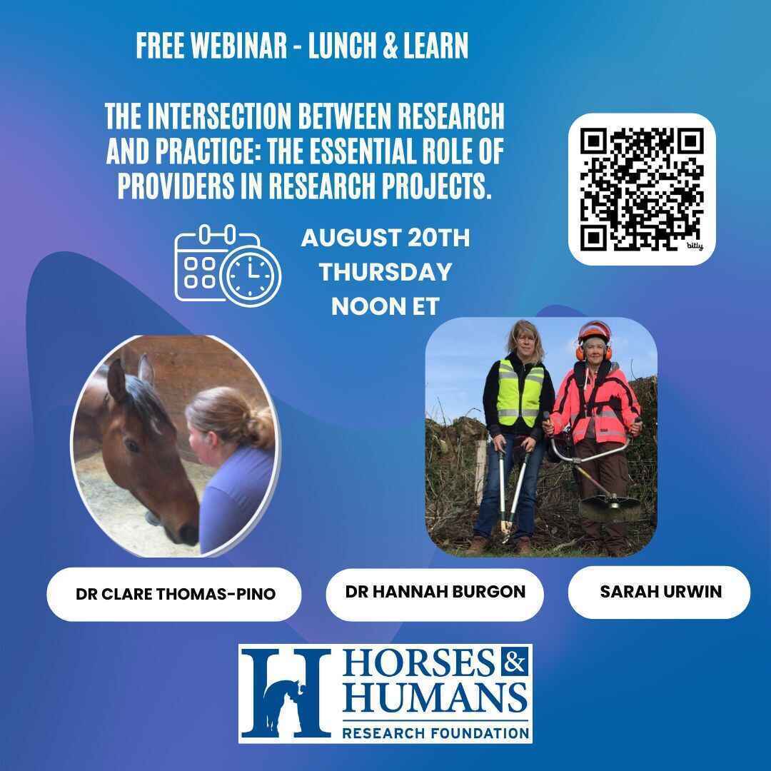 August Lunch and Learn image