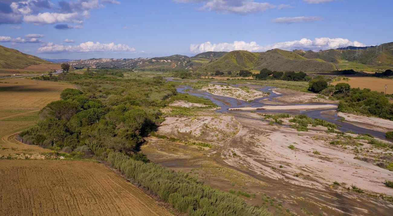 Santa Clara River Preserve Volunteer Day (August) image