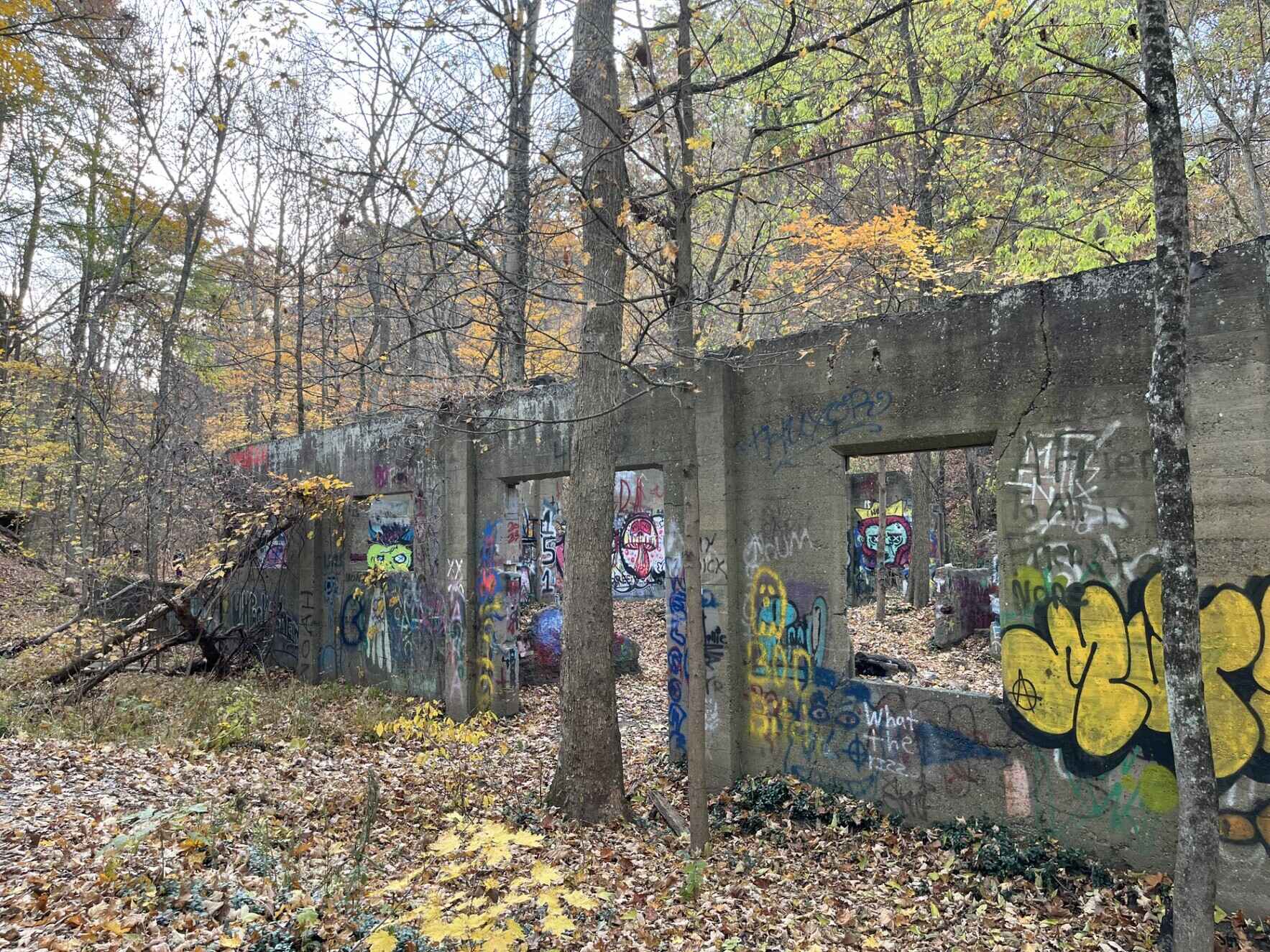 Science Stroll: The Haunted History of DMH image