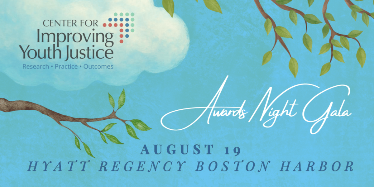 Center for Improving Youth Justice Awards Night Gala image