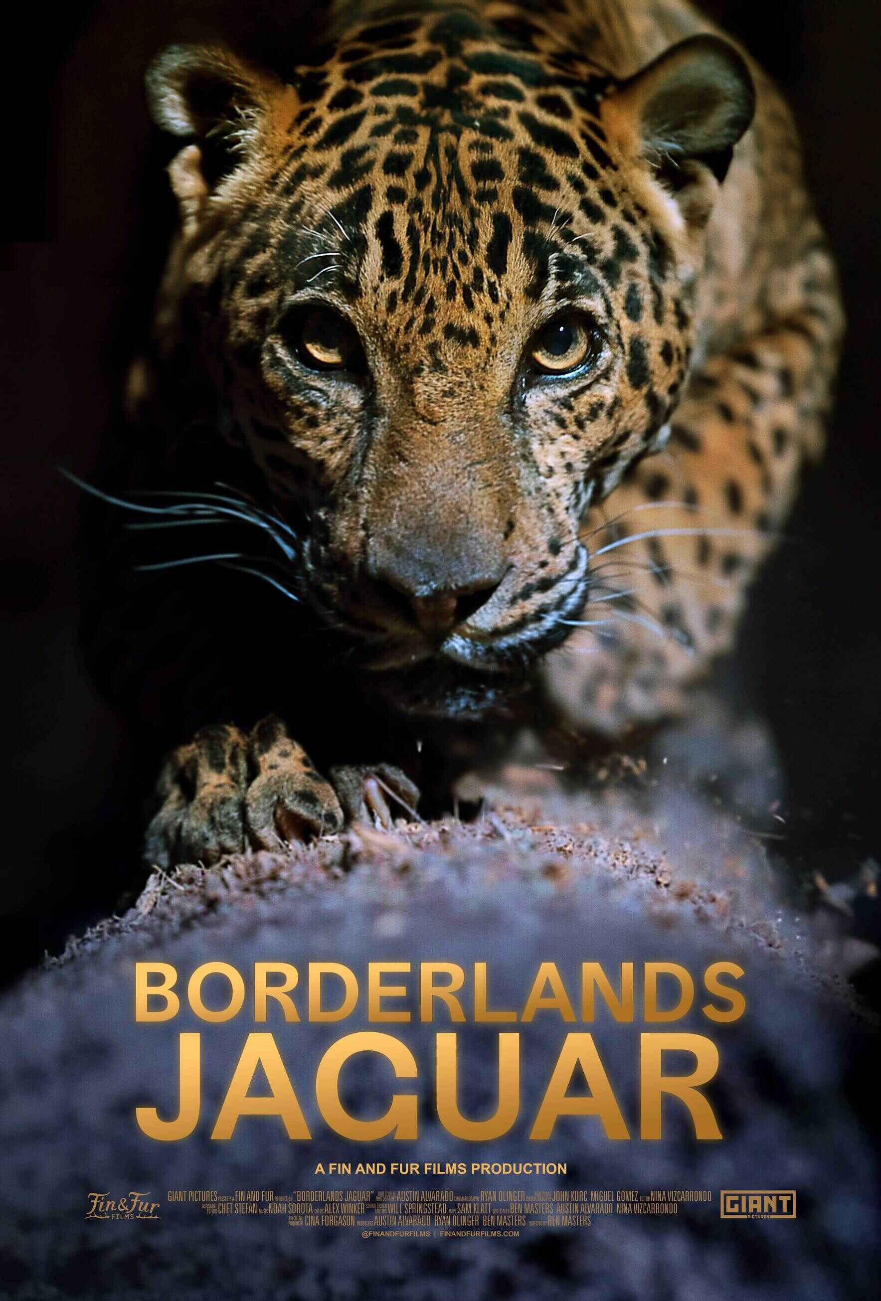 Santa Fe Borderlands Jaguar Film Screening with Northern Jaguar Project  image