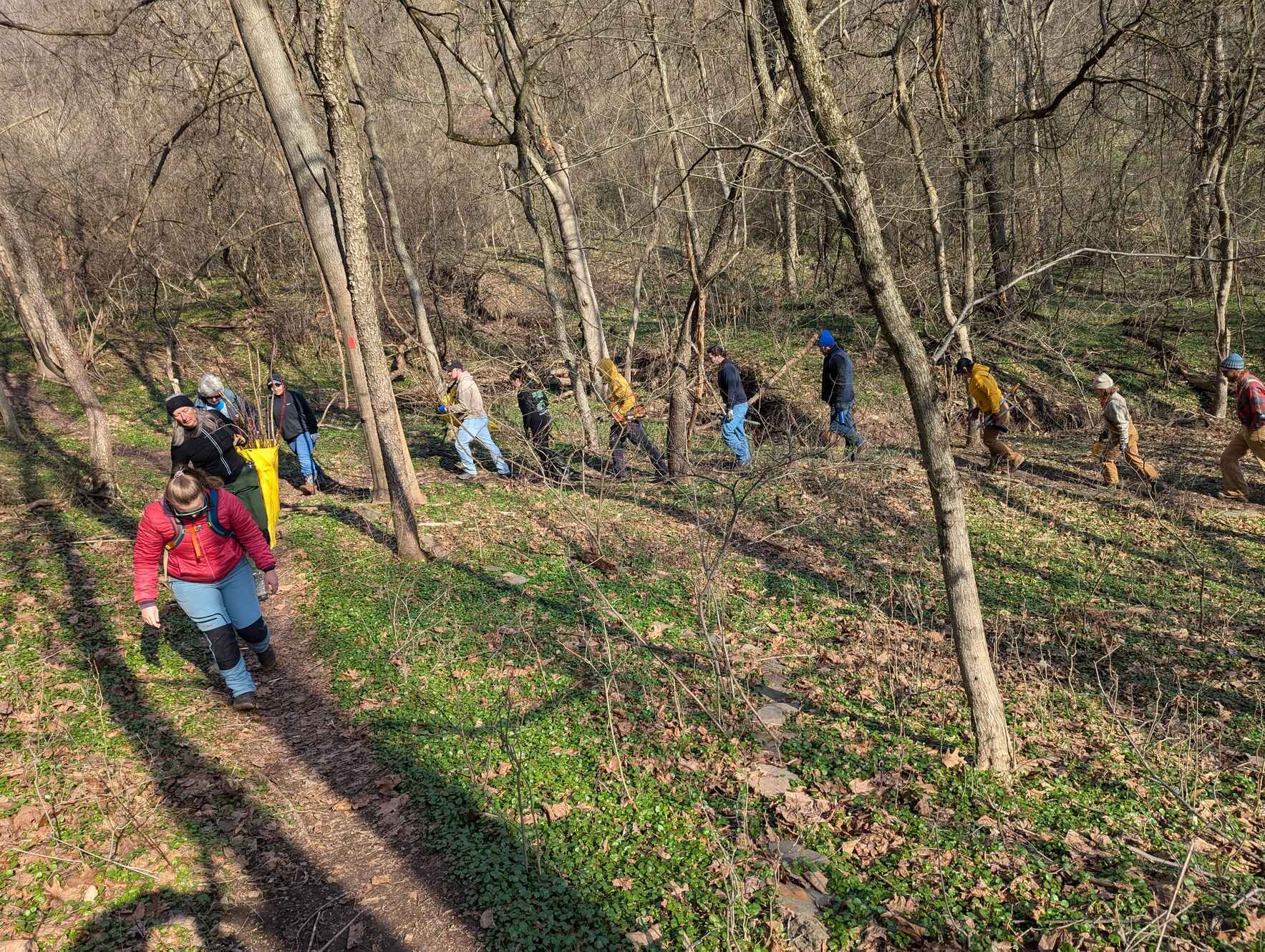 Girty's Woods- Volunteer Trail Workday image