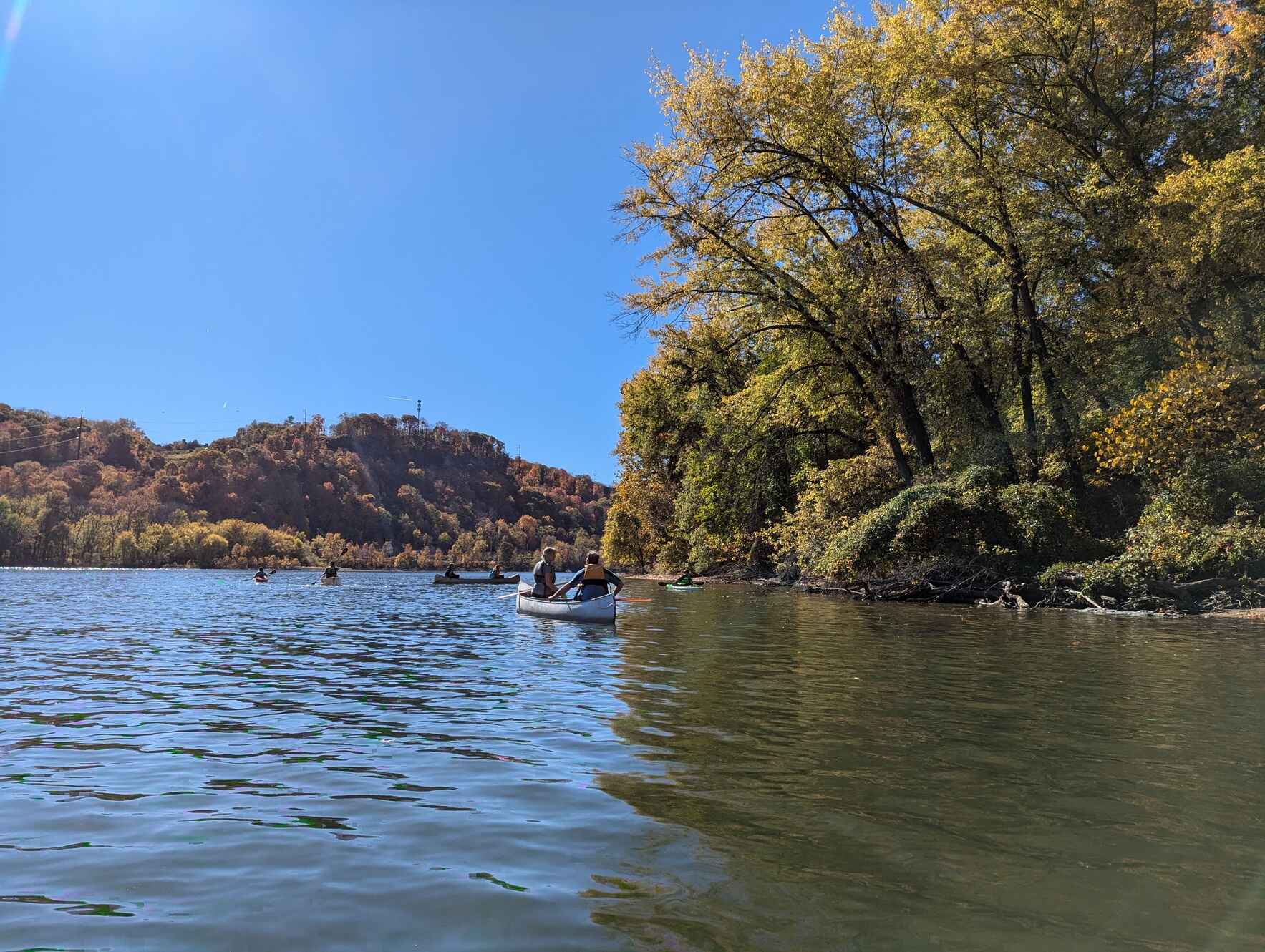 Sycamore Island- BYO-Boat Invasive Plant Management Workday image