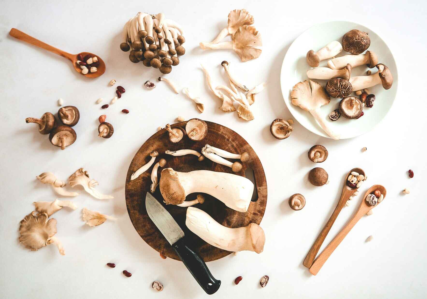 Medicinal and Culinary Mushrooms: A Talk with Yael Bernhard image