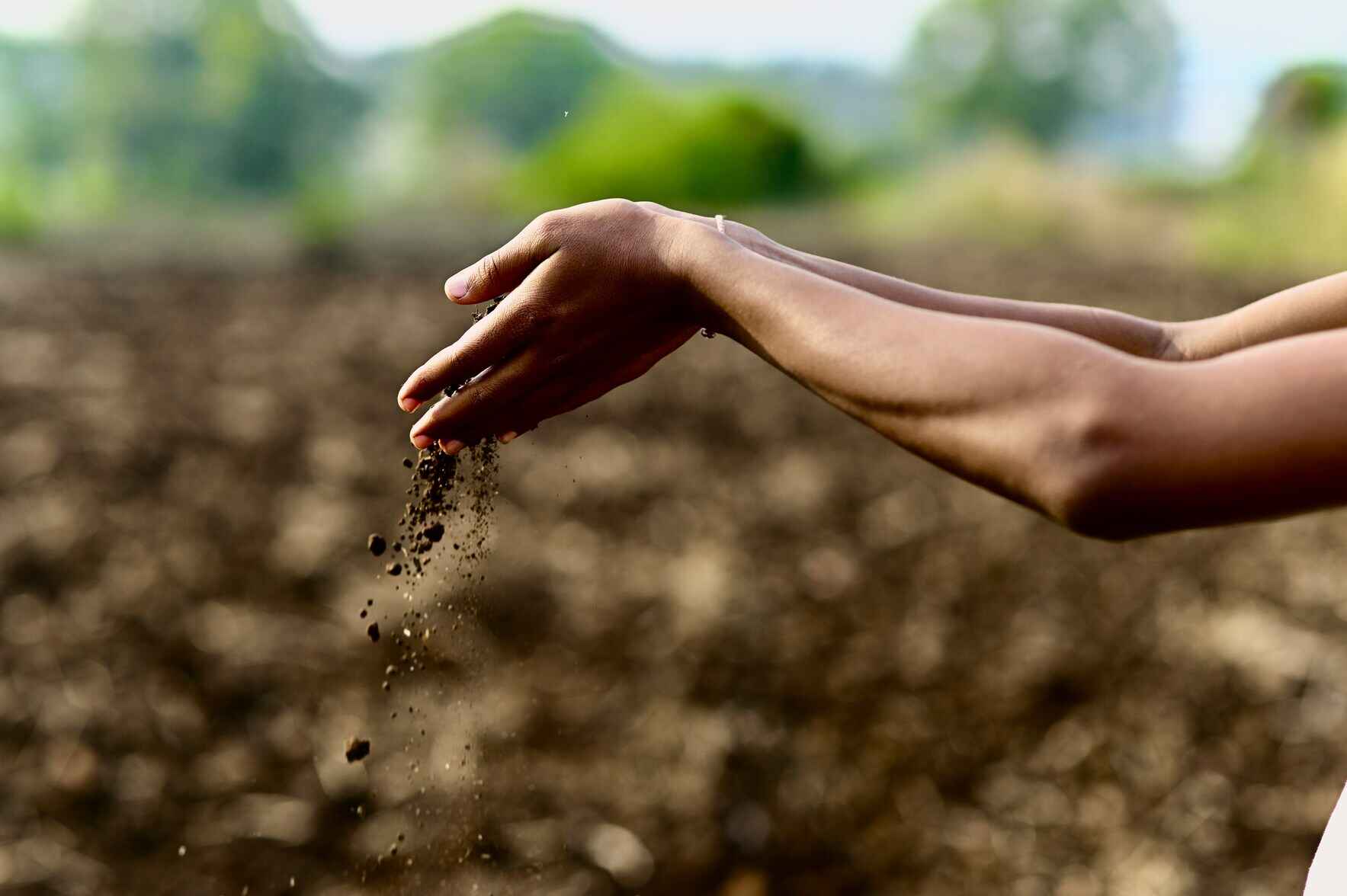 Feeding the Earth-Body: Fermentation and Soil Regeneration image