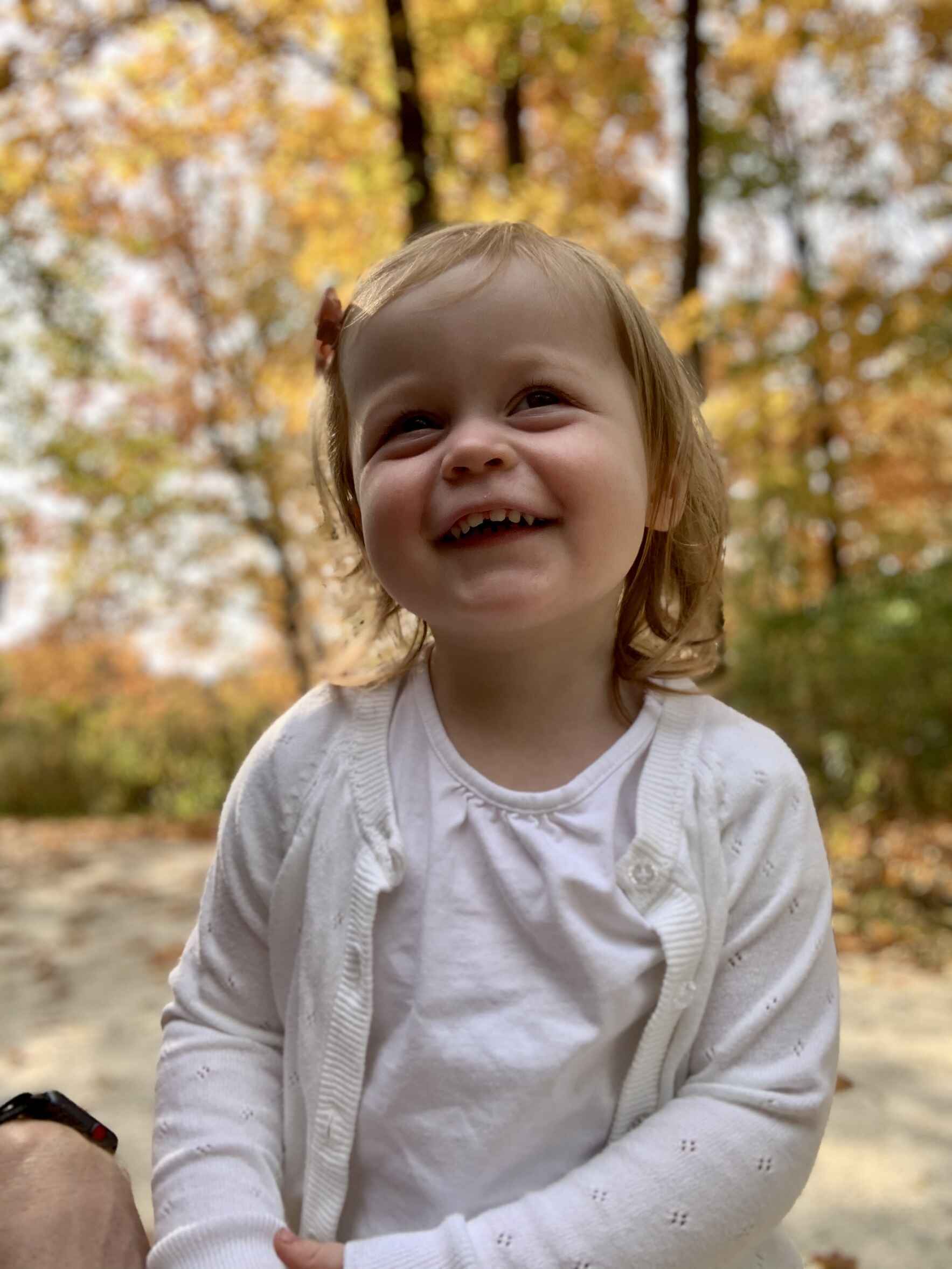 Violet's Walk in the Park 2026 image