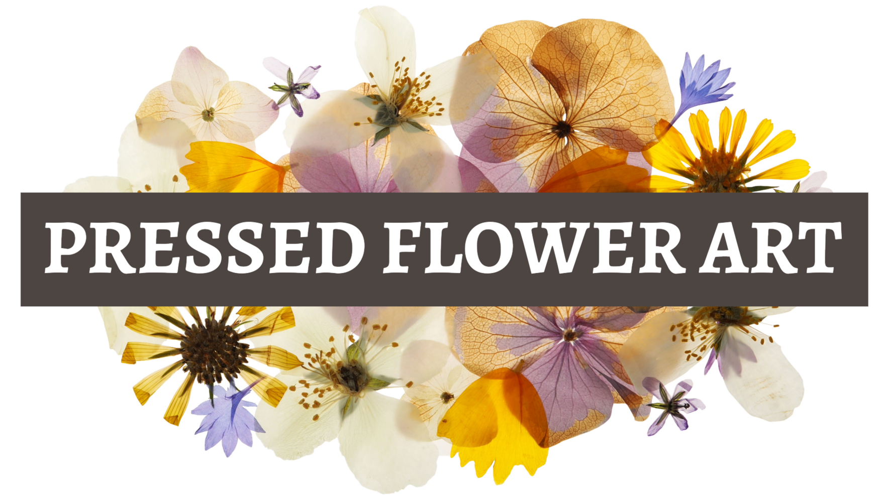 Pressed Flower Art image