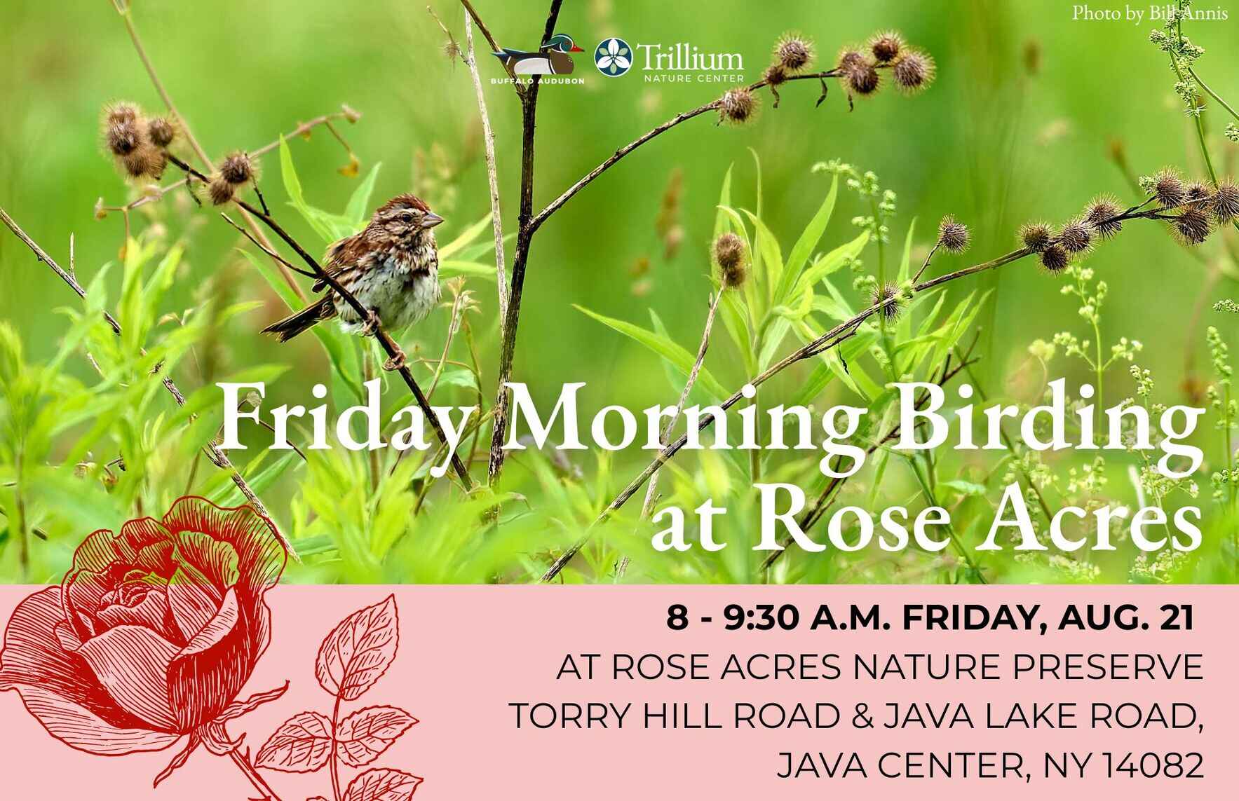 Friday Morning Birding - Rose Acres Nature Preserve - August 21st, 2026 image