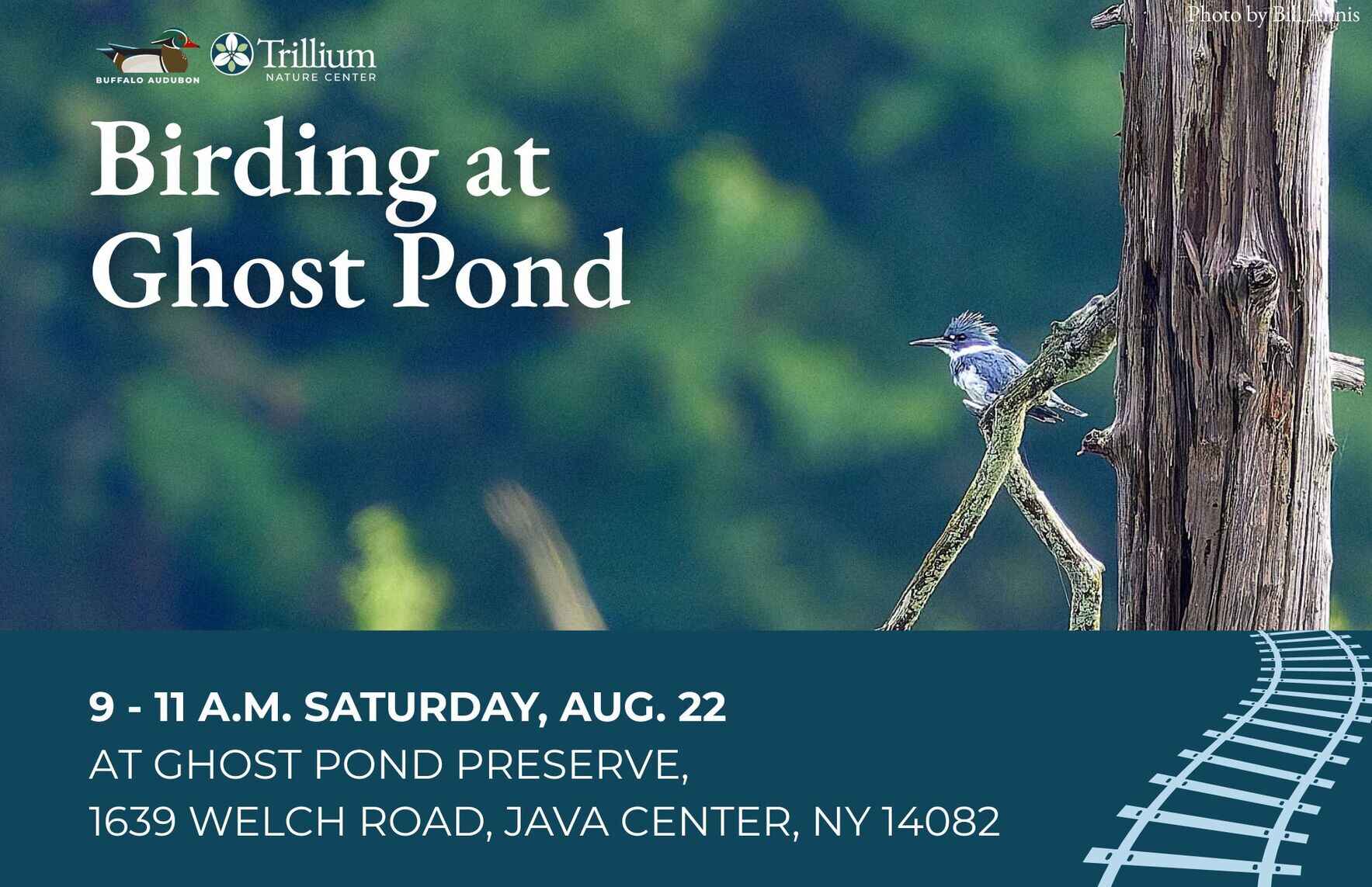 Birding at Ghost Pond image