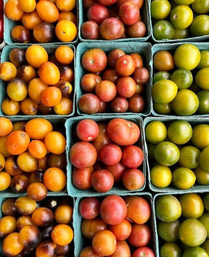 Volunteer on the Farm:  Tomato Harvest 2 image