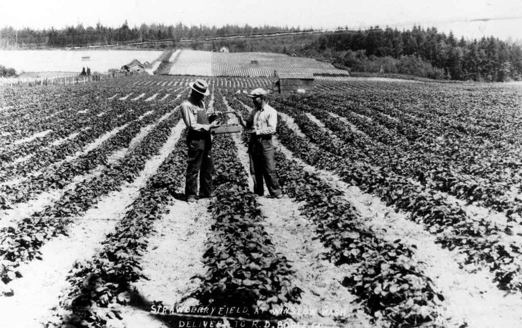 Introduction to Kansha History for WA and OR Nikkei Groups, Farmers, Farming Descendants image