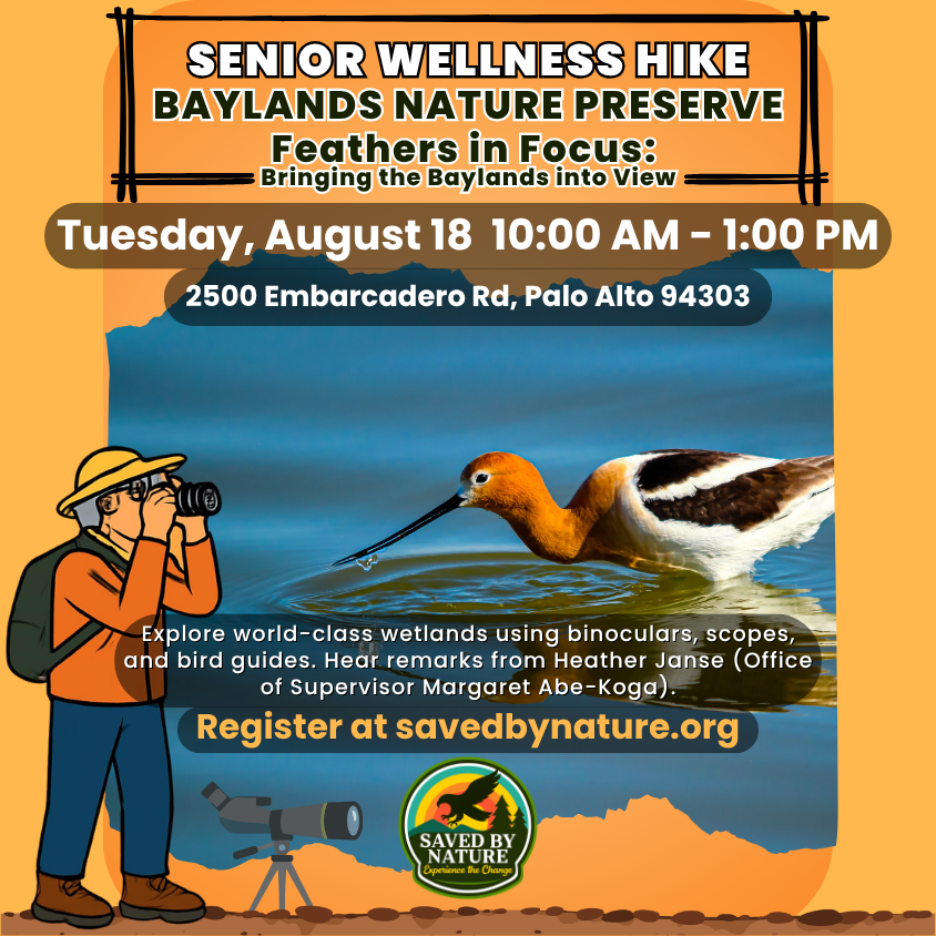 Senior Wellness Hike - Baylands Nature Preserve image