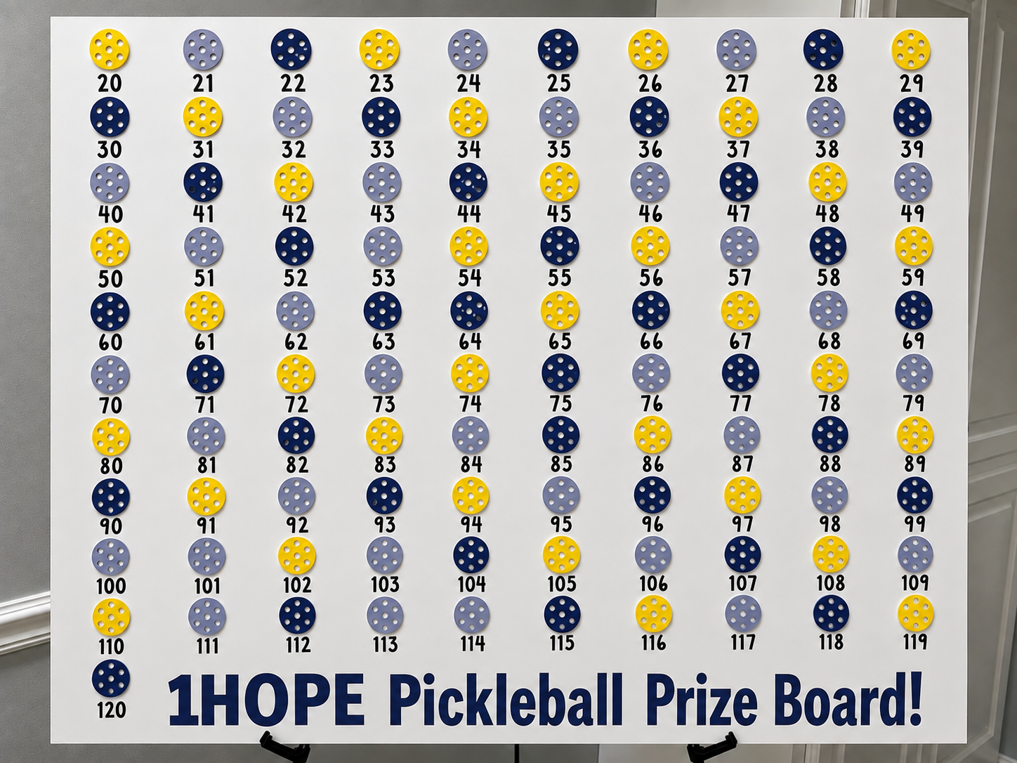 1HOPE Pickleball Prize Board image