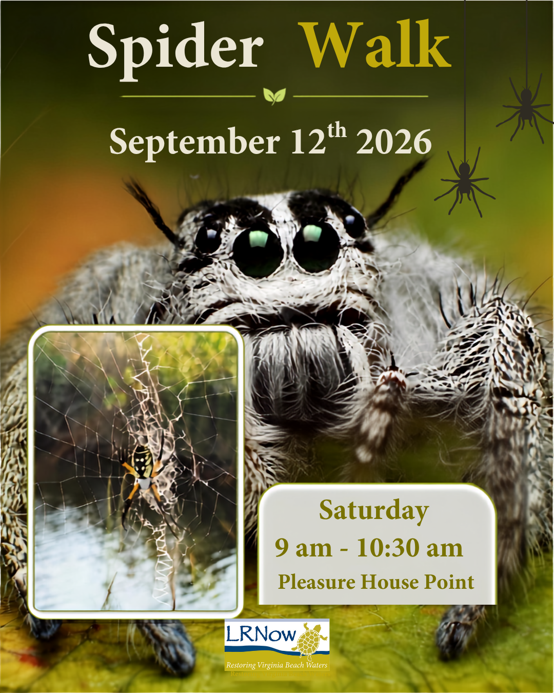 Spider Walk image