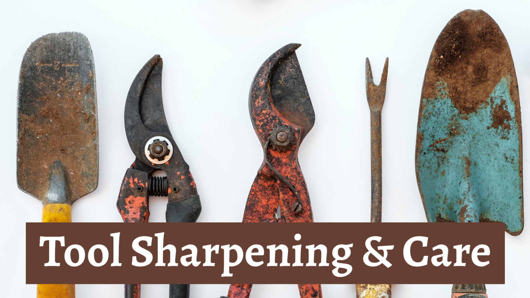 Tool Sharpening & Care image