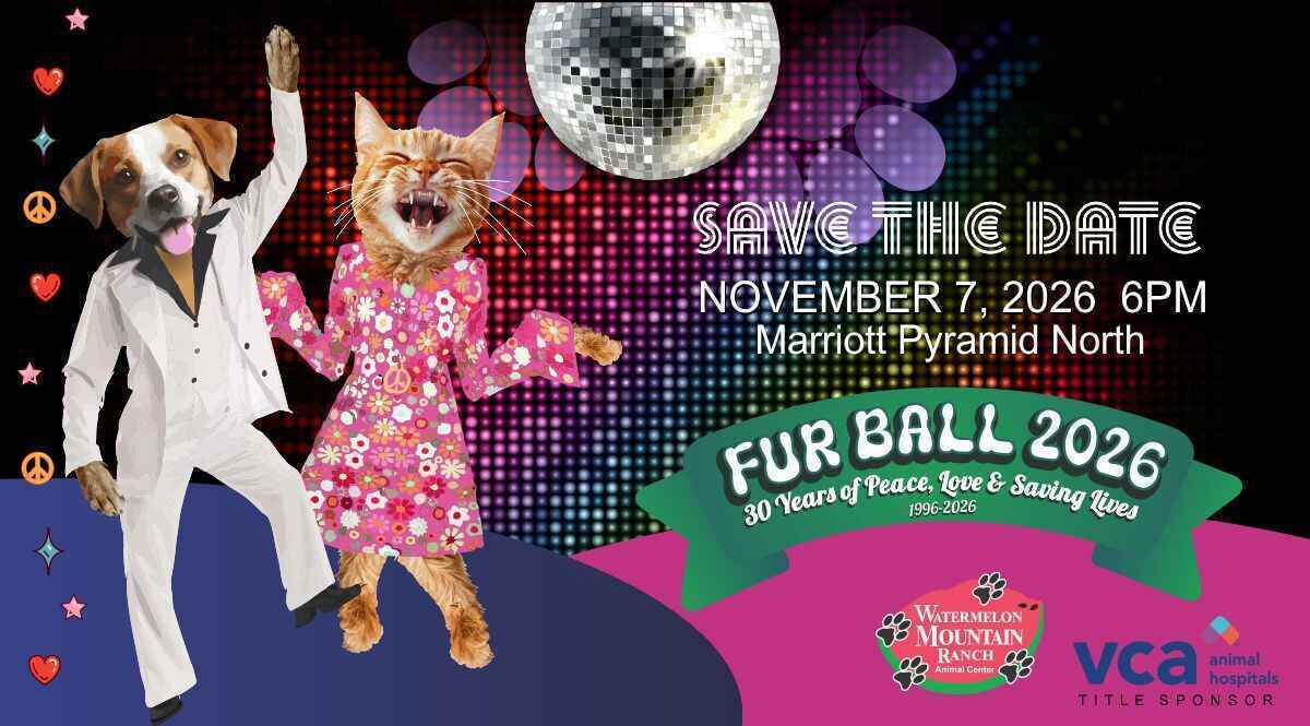 Fur Ball 2026 image