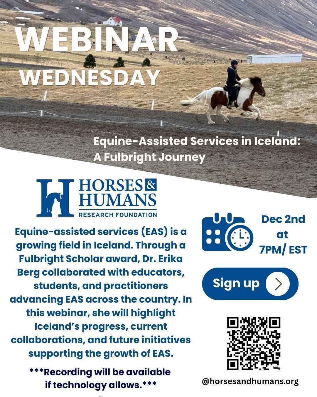 Equine-Assisted Services in Iceland: A Fulbright Journey image