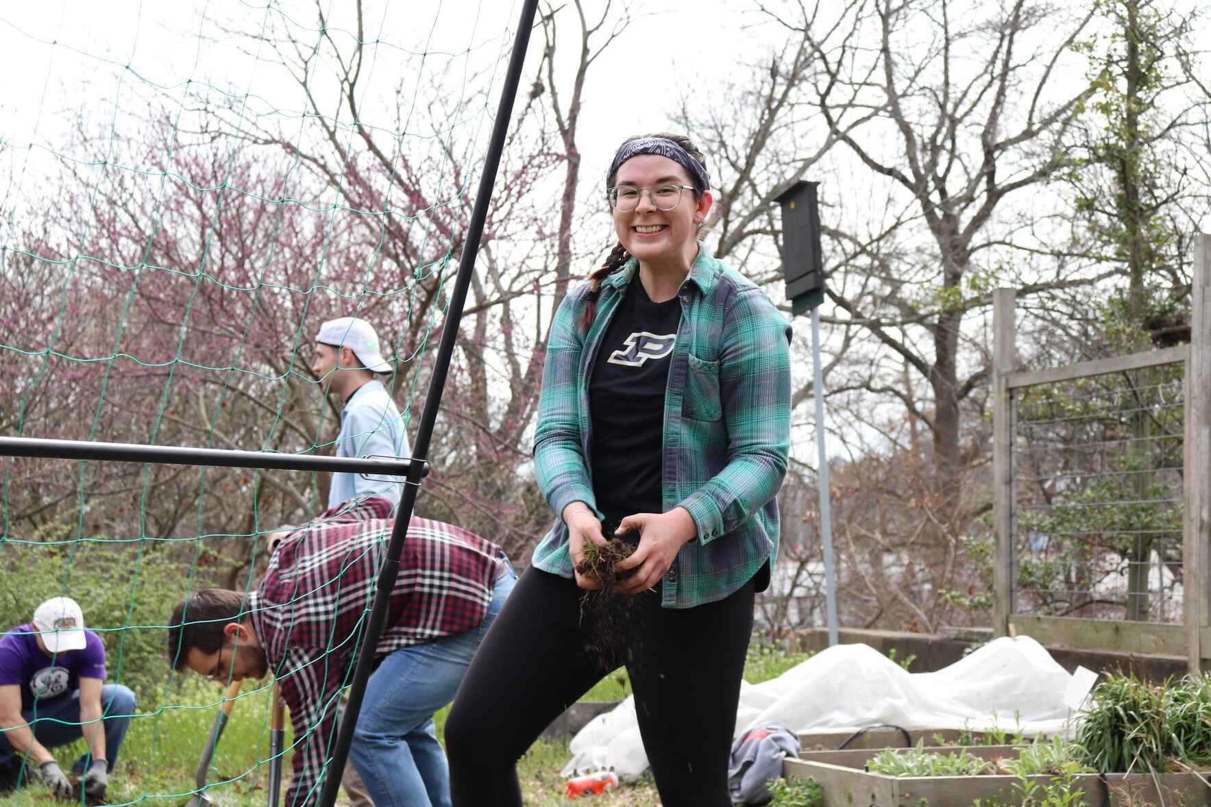 Hauck Veggie Garden Workday image