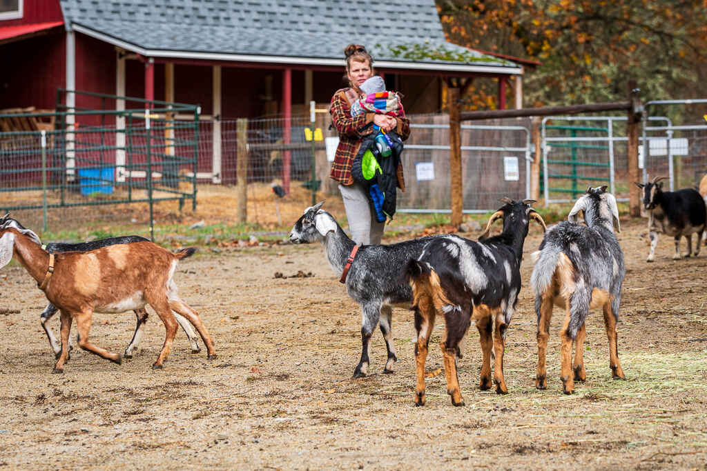 Sanctuary One Farm Tour October 24th image