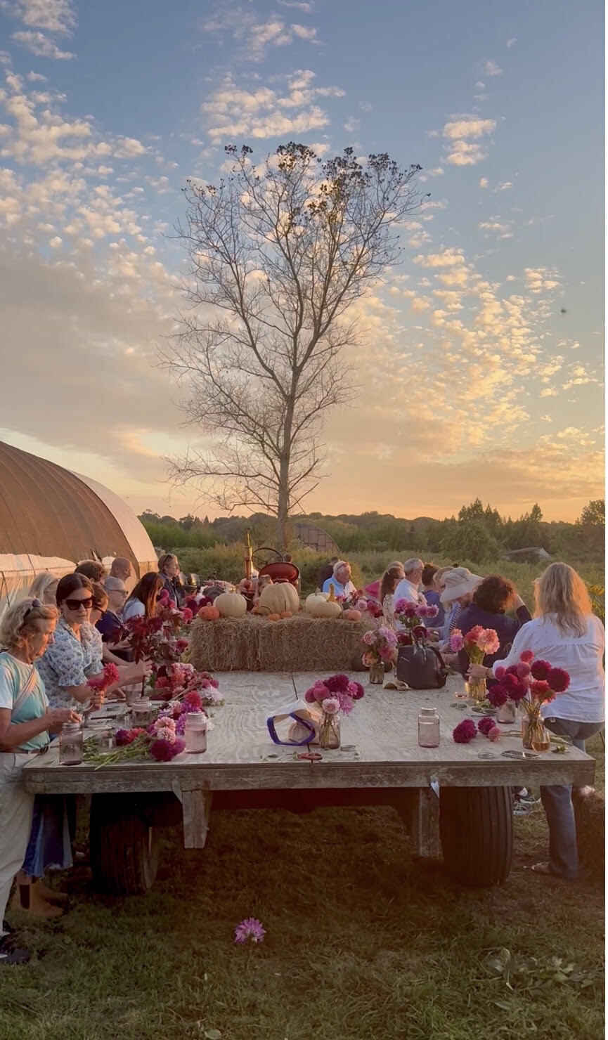 Dahlia Night at Share the Harvest Farm image