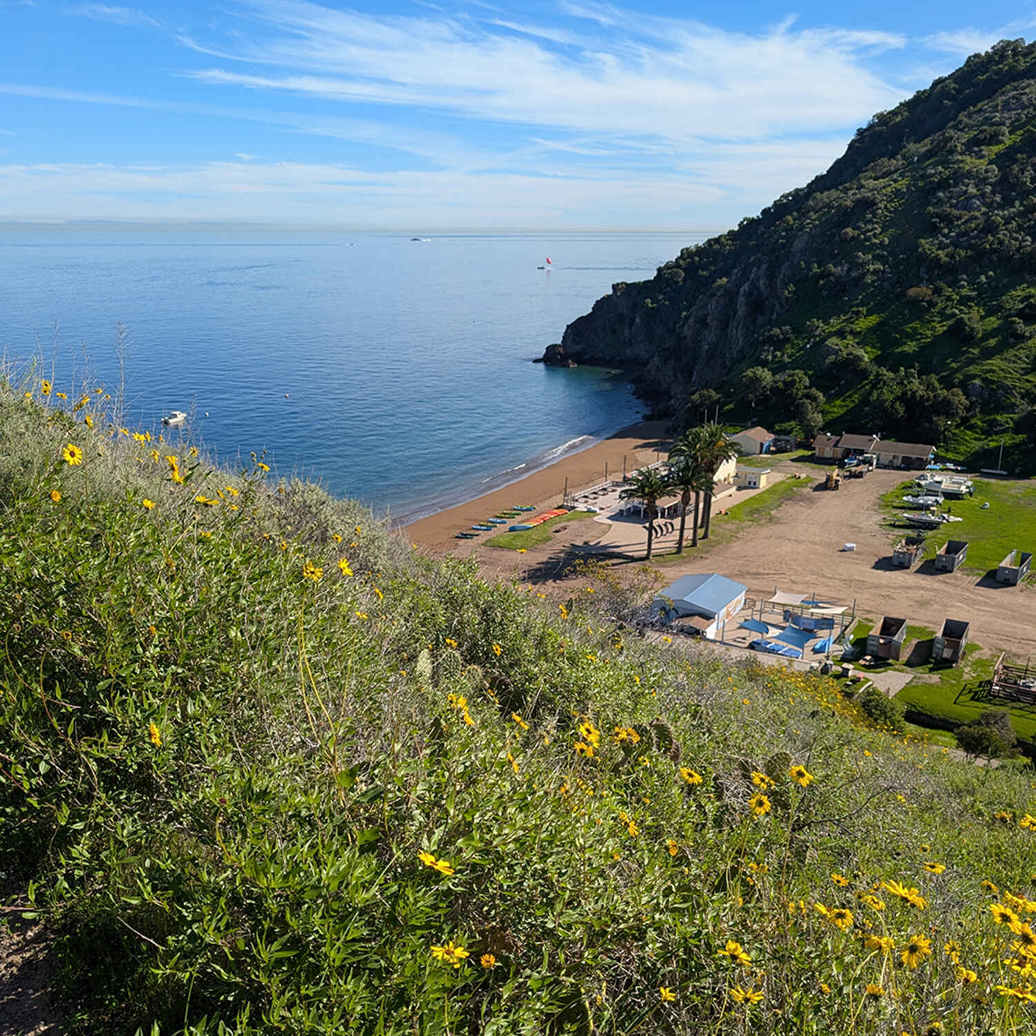 Catalina Island Restoration Adventure image