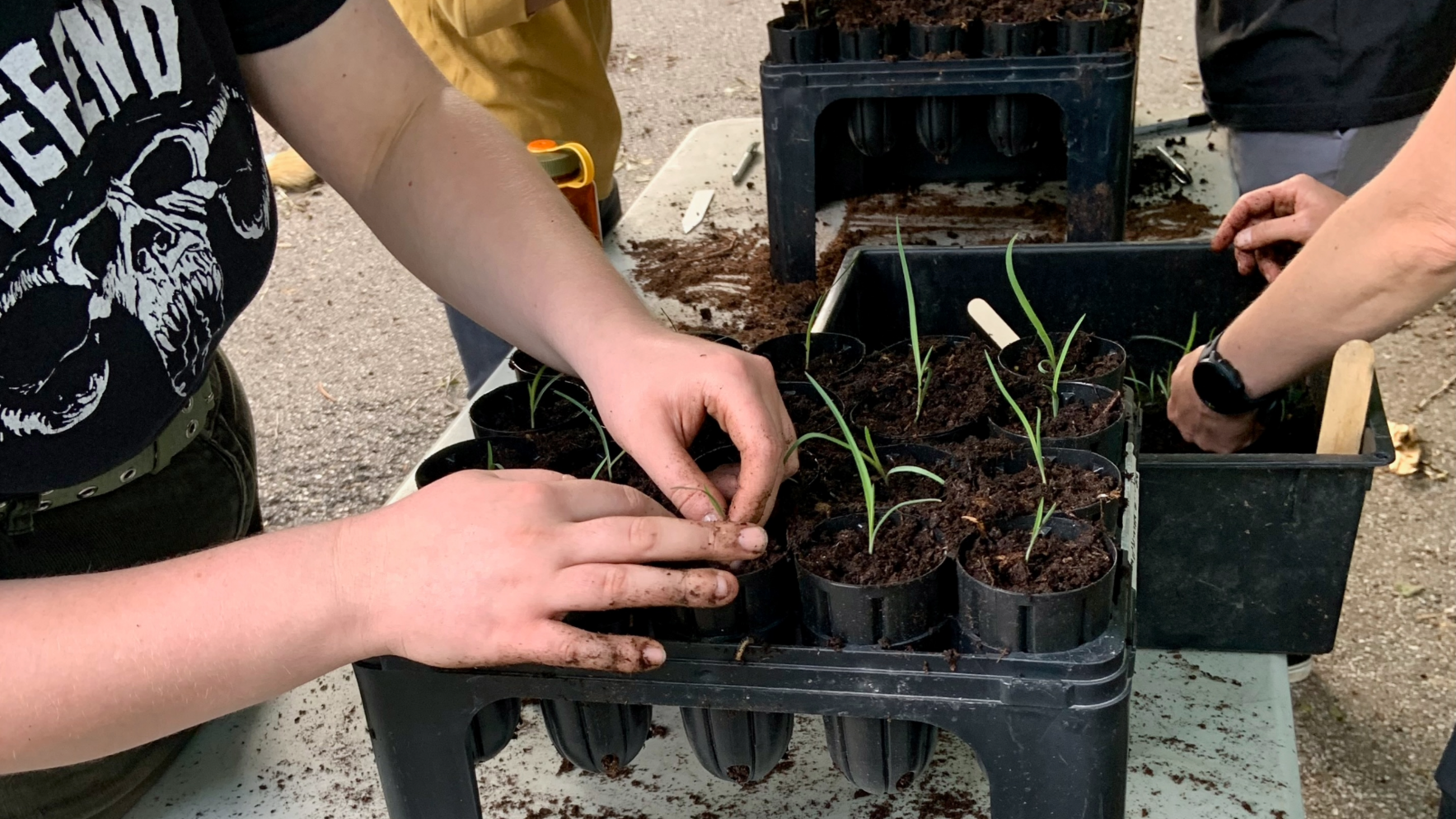 ReRooted Propagation Workday - September 18, 2026 image