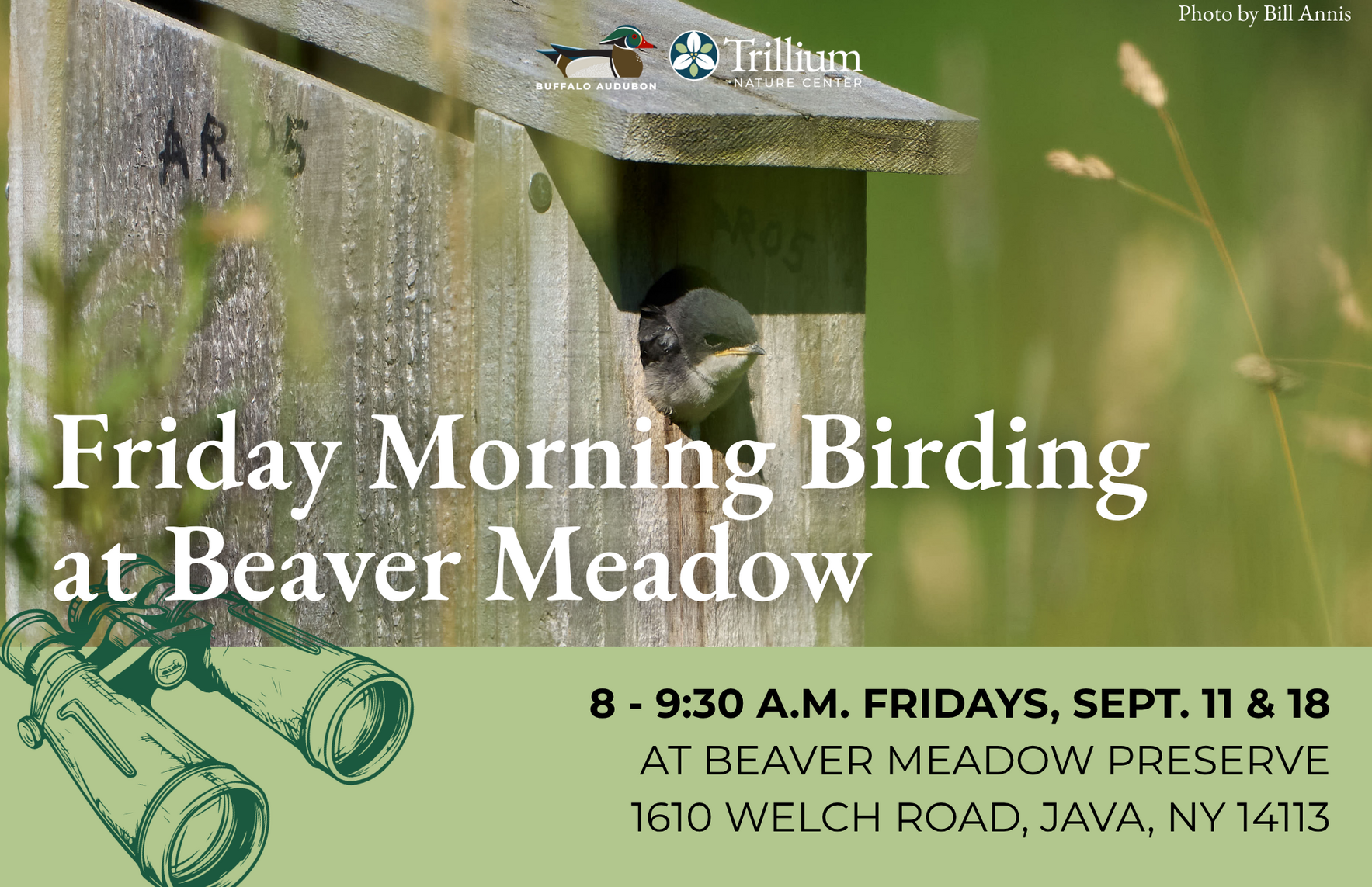 Friday Morning Birding - September 11th, 2026 image