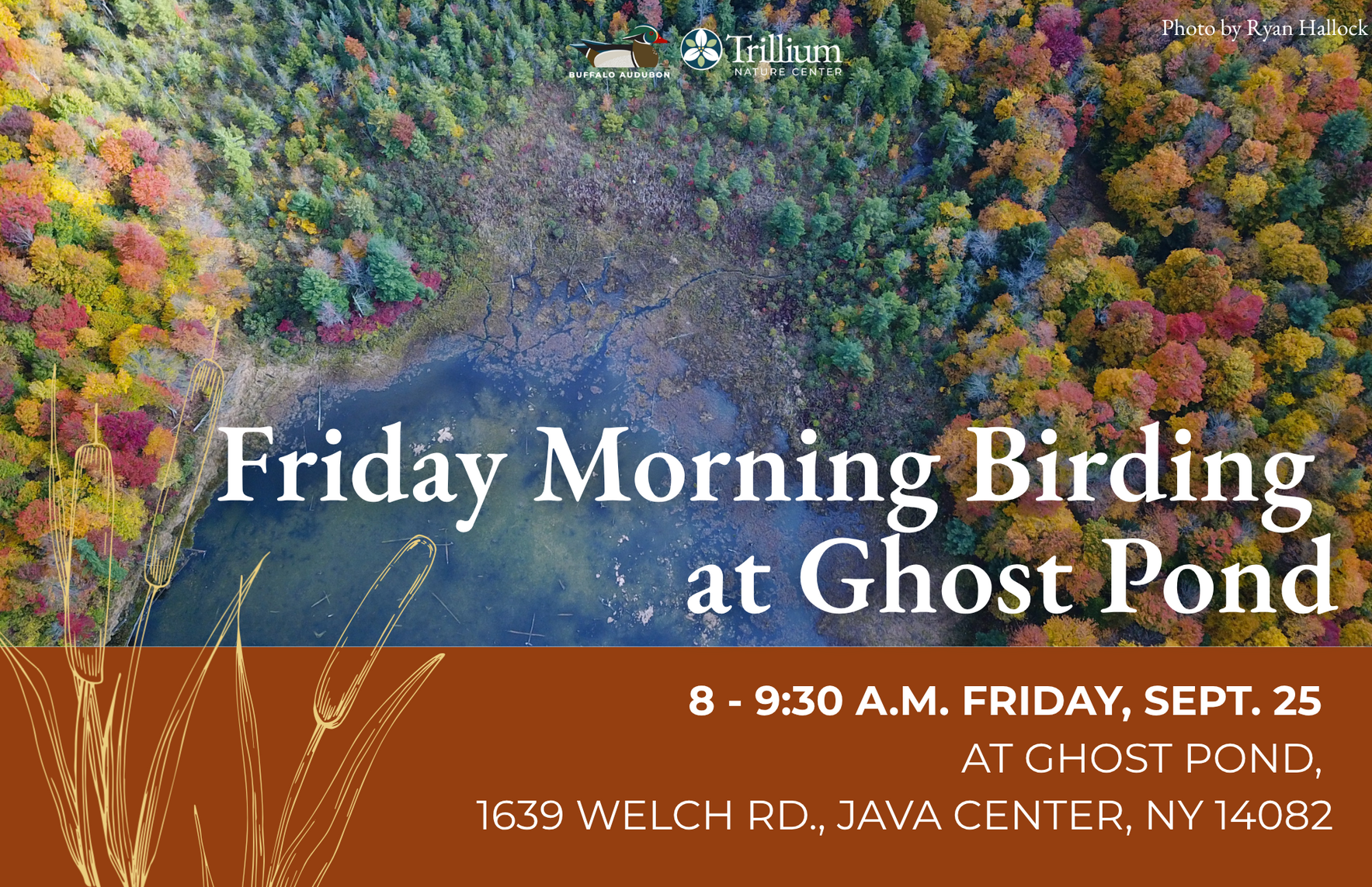 Friday Morning Birding - Ghost Pond - September 25th, 2026 image