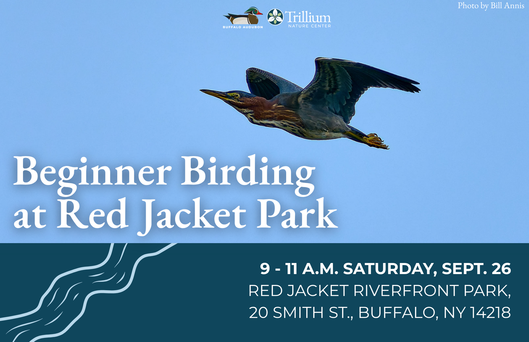 Beginner Birding image
