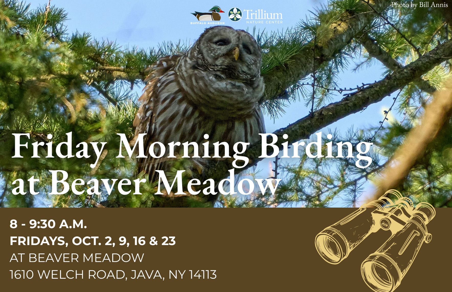 Friday Morning Birding - October 2nd, 2026 image