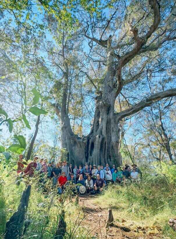 Cat Island Hike  image