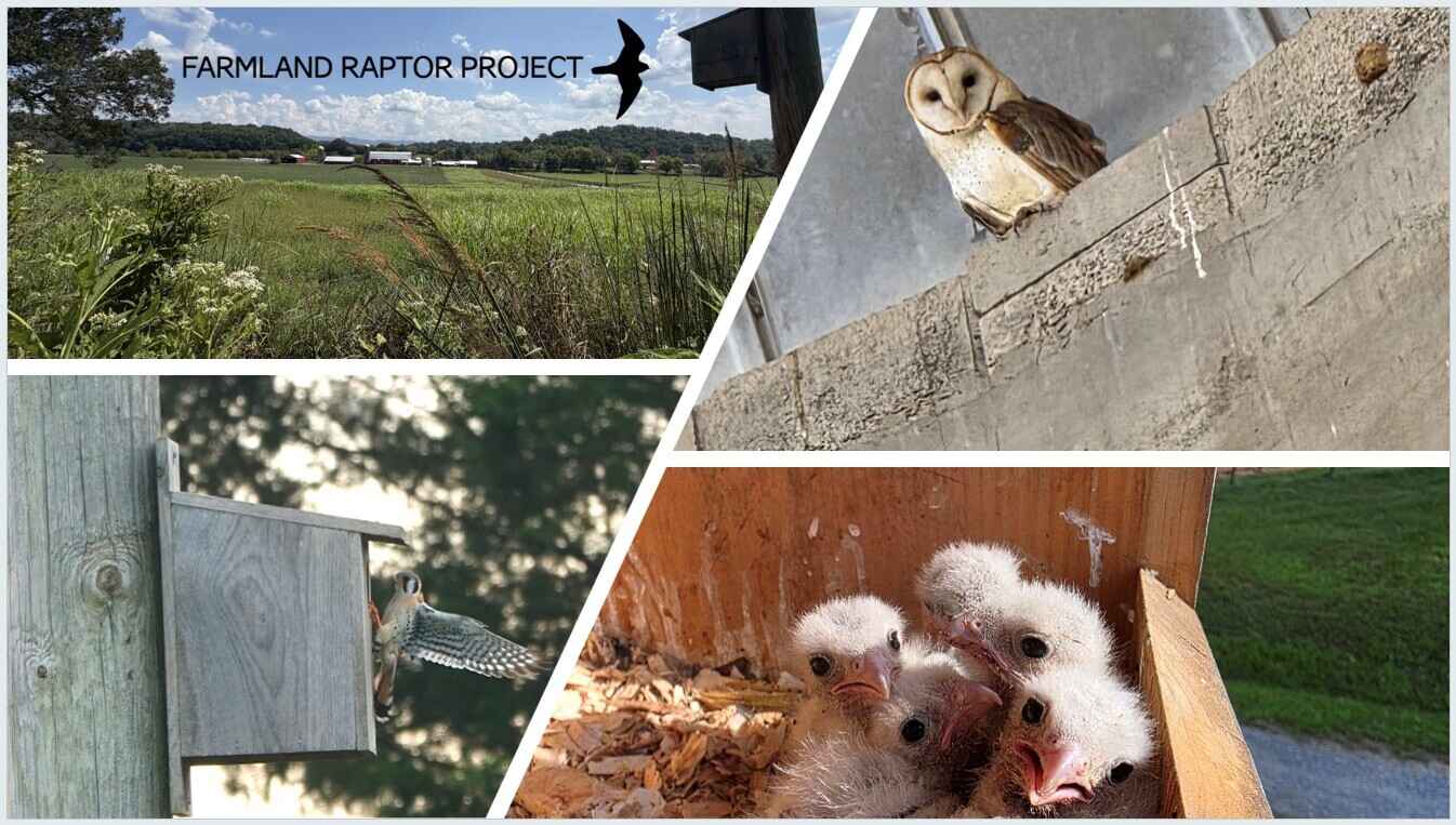 Join us for the Farmland Raptor Project's Grant Award Kick Off and Workshop! image