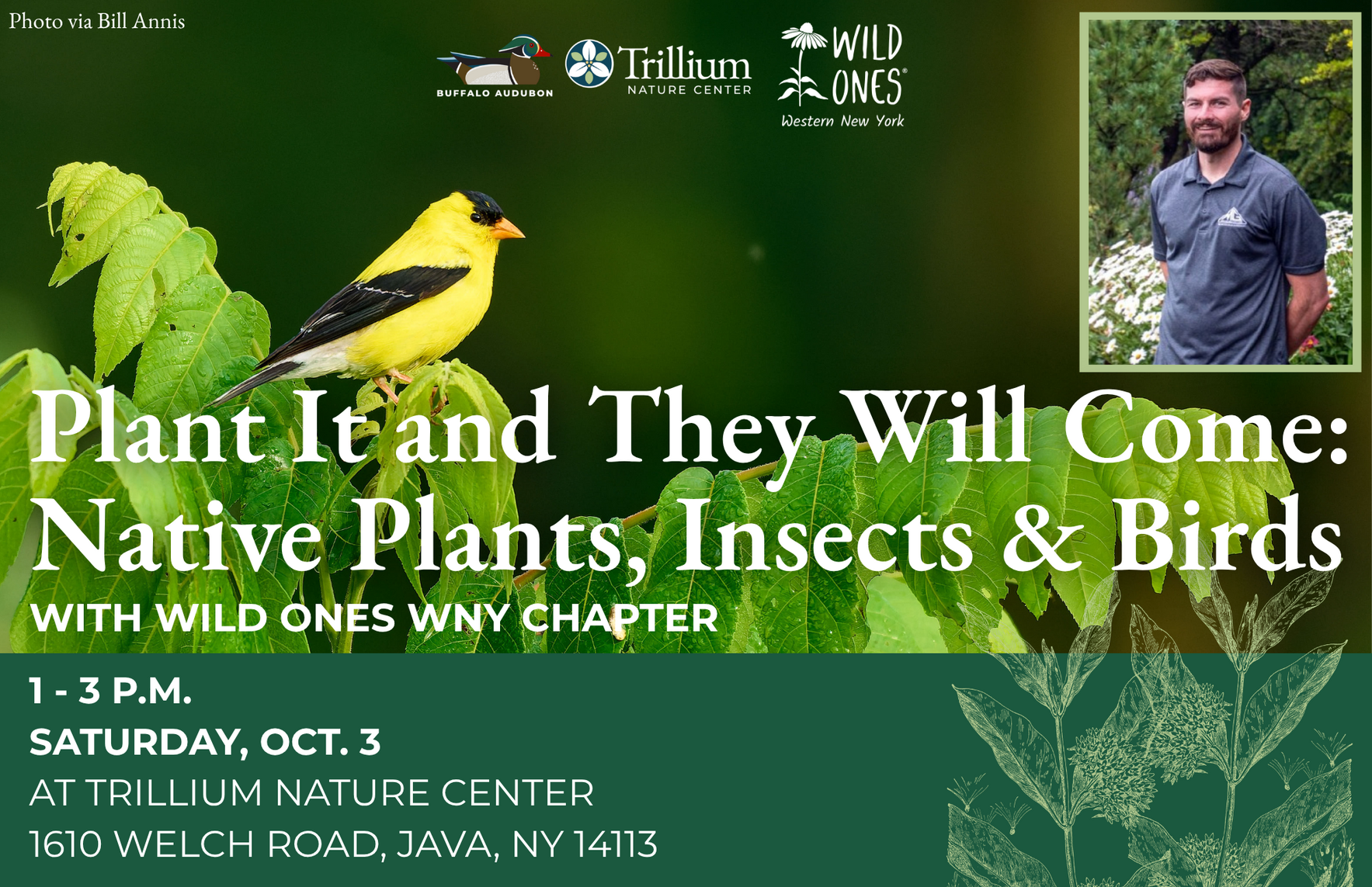 Plant It and They Will Come: Native Plants, Insects & Birds image