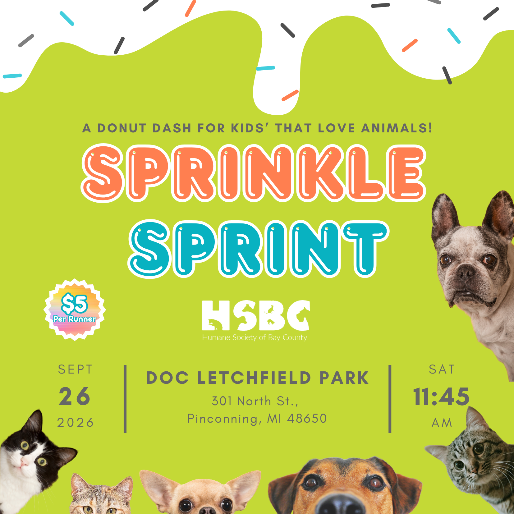 Sprinkle Sprint image
