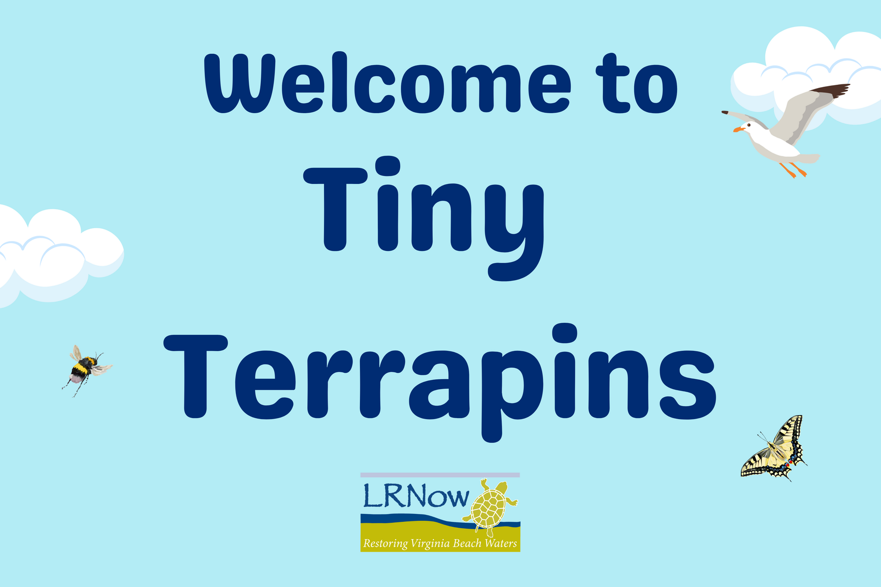 Tiny Terrapins: Hello, Fall image