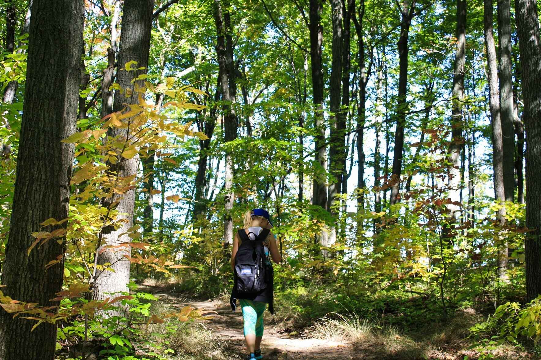 Grief Expression Hike: Horestooth Falls image