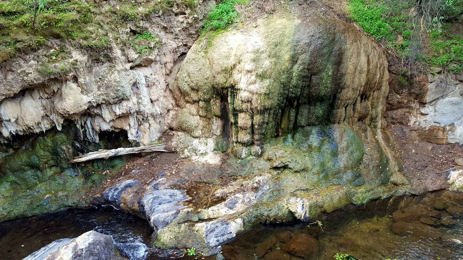 ShapeUp at Alum Rock Park image