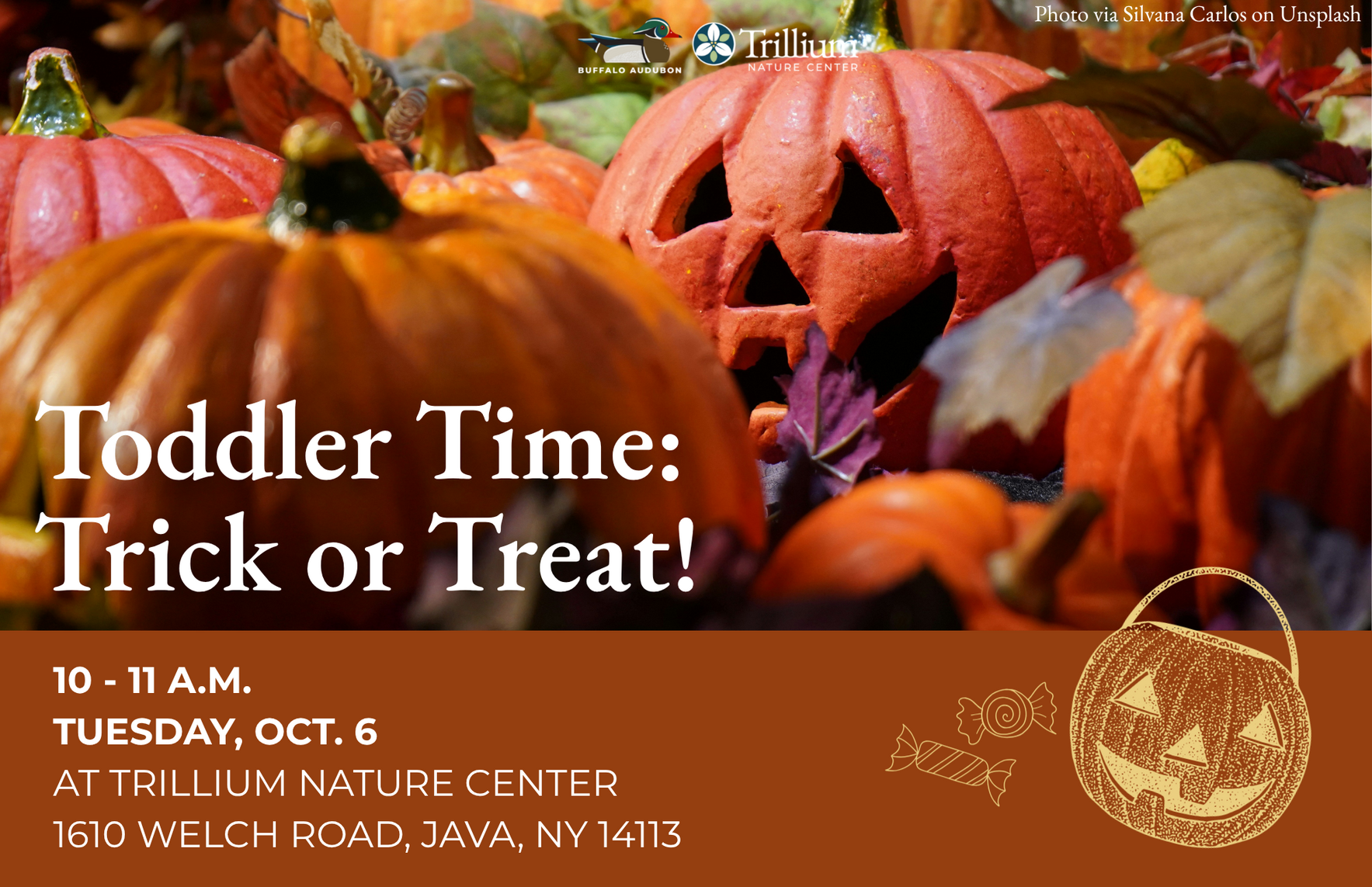 Toddler Time: Trick or Treat! image
