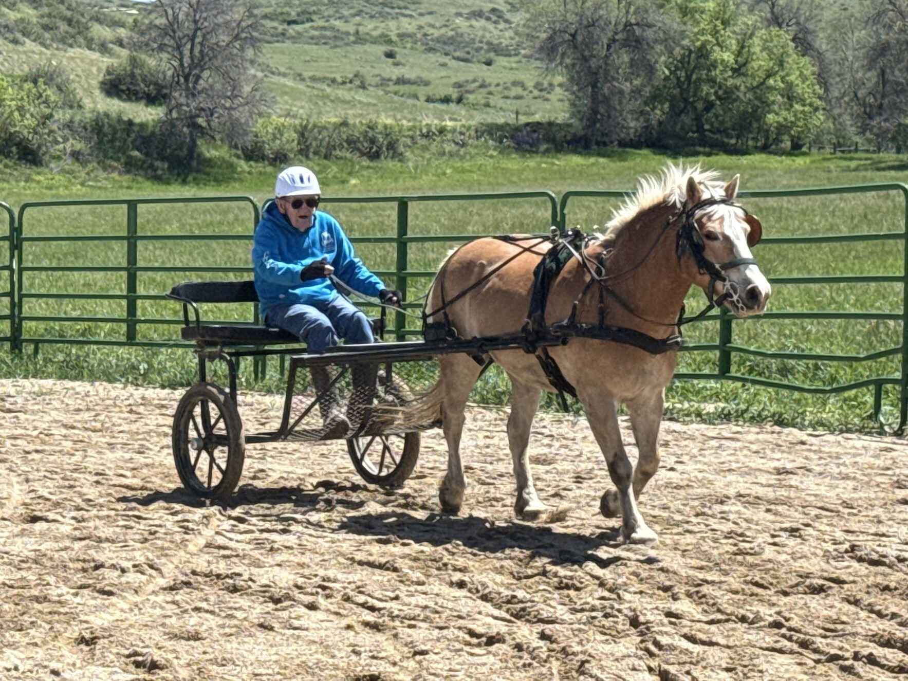 2027 Driving Clinic image