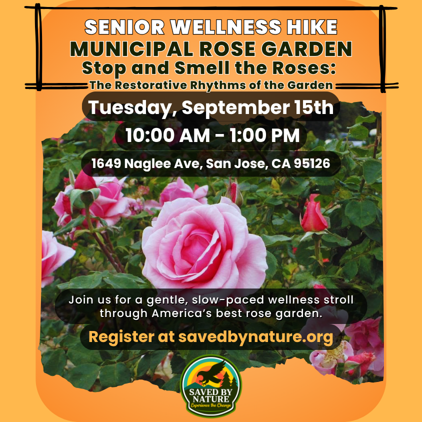 Stop and Smell the Roses: The Restorative Rhythms of the Garden image