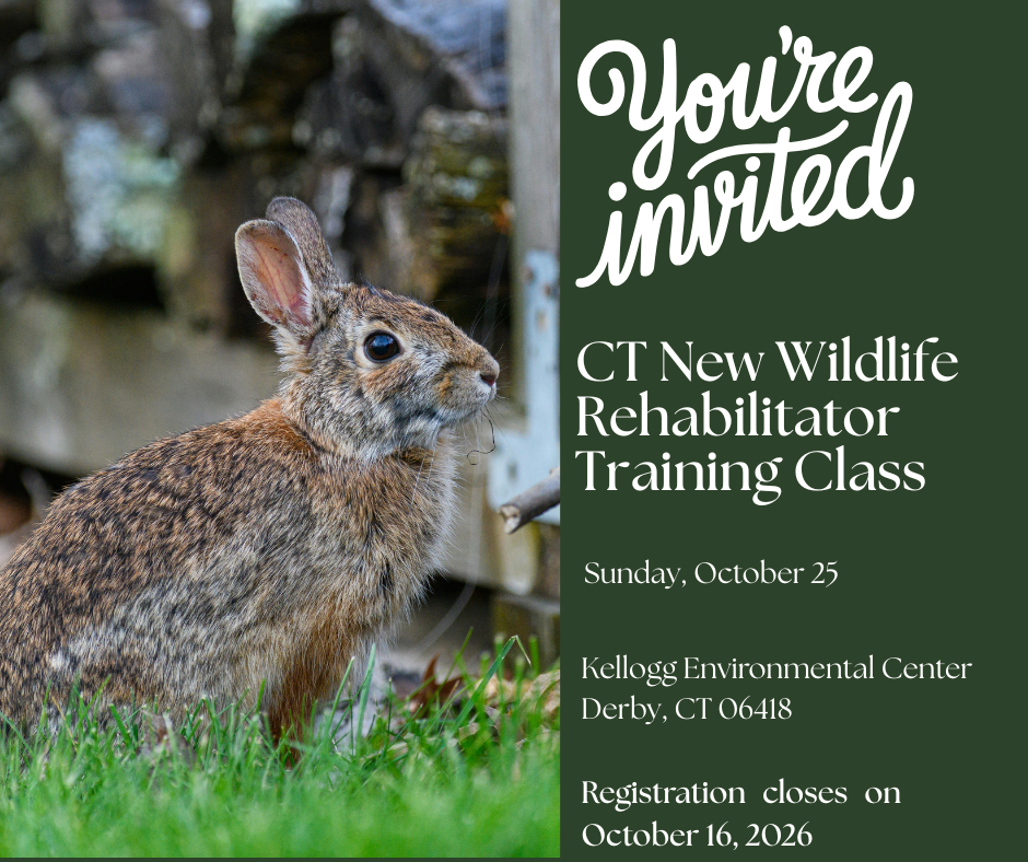 New Wildlife Rehabilitator Training - October 2026 image